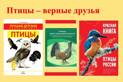 Международный день птиц, обновлено  - Беларусь | Пионерская  коллекция | Дзен