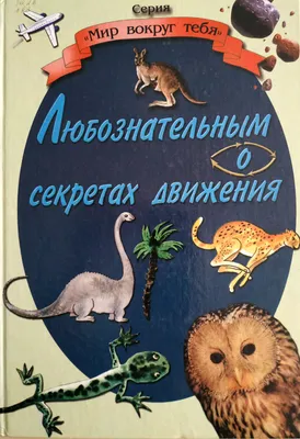 Почему сова улыбается? Расскажут #птицыКузбасса - «СГК Онлайн»