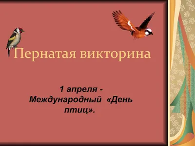 Международный день птиц, обновлено  - Беларусь | Пионерская  коллекция | Дзен