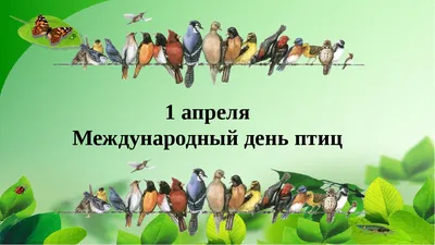 1 апреля- Международный день птиц. International Bird Day. Кыргызстан »  ЭкоМиР - Экологический Мониторинг и Расследования