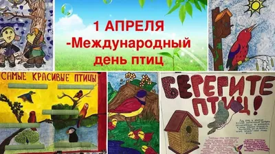 Атмосферные создания: 1 апреля - Международный день птиц - Новости РГО