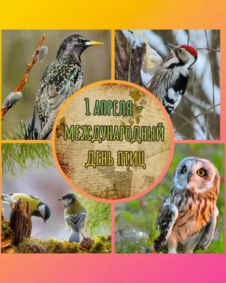 1 апреля, Международный день птиц-праздник единения человека с природой —  КГБПОУ "Бийский техникум лесного хозяйства"