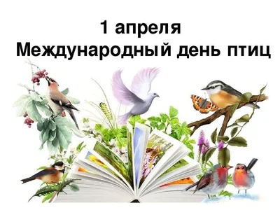Международный день птиц» 2023, Зилаирский район — дата и место проведения,  программа мероприятия.