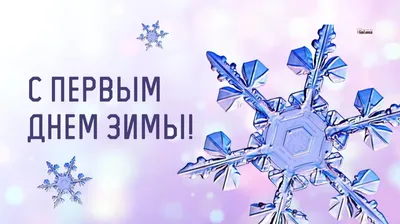 Открытки с первым днем зимы, поздравления в стихах, прозе, приколы — Разное