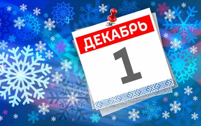 Праздник 1 декабря: что строго запрещено, а что нужно обязательно сделать в первый  день зимы - NewsBy