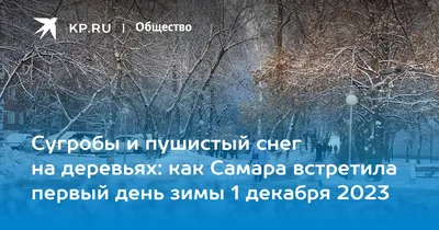 Первый день зимы в Самаре : на город обрушился снегопад, фото  и видео - 