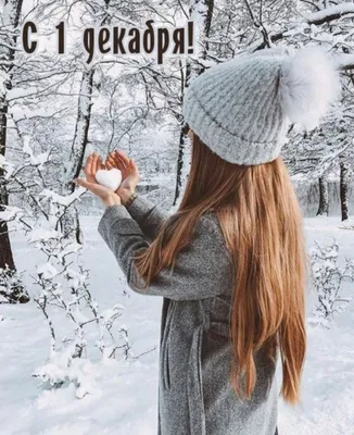 Красивые открытки "С первым днем зимы!" (119 шт.)