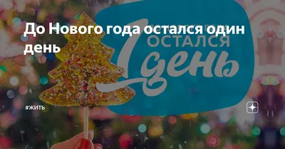 До Нового года остался один день | #ЖИТЬ | Дзен