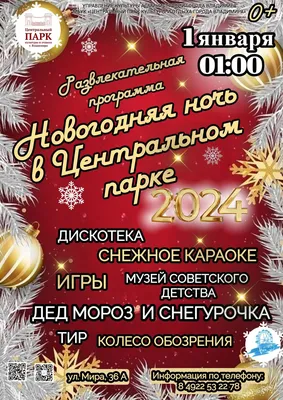 Развлекательная программа «Новогодняя ночь в Центральном – 2024» / События  / Владимирская афиша . Владимир предстоящие мероприятия