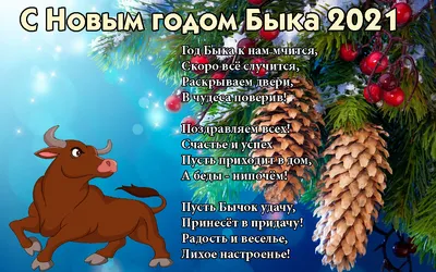 С НОВЫМ ГОДОМ! - 1 Января 2021 - Персональный сайт учителя