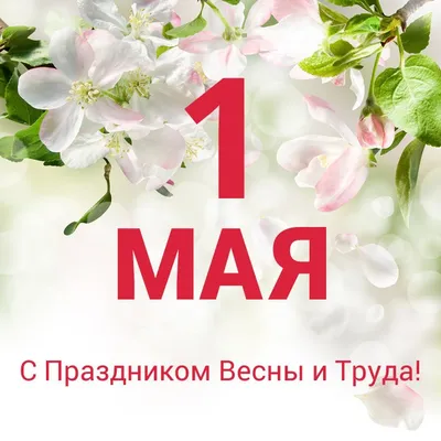 1 Мая — Праздник Весны и Труда. | Сауна "Ибица" г.Томск