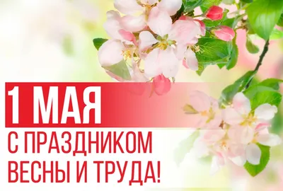 С 1 МАЯ - ПРАЗДНИКОМ ВЕСНЫ И ТРУДА! - ГК Даймонд