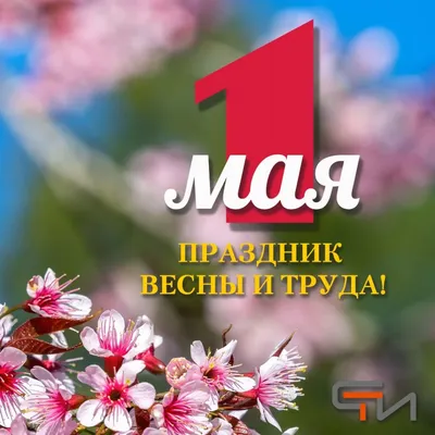 Первое мая: праздник Весны и Труда