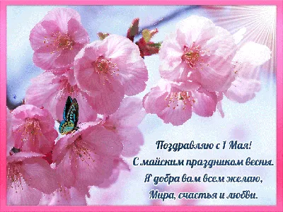 🥀🌸🎈🌿🎀🌿🎈🌸🥀 С 1 МАЯ! | Праздничные открытки, 1 мая, Май