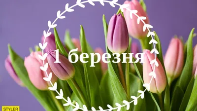 Первый день весны: прикольные открытки и душевные поздравления с 1 марта  2021 - 