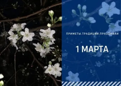 ВЕСНА ПРИШЛА Красивое поздравление с началом весны spring музыкальная видео  открытка Счастья и Любви | Весна, Открытки, Благодарственные открытки