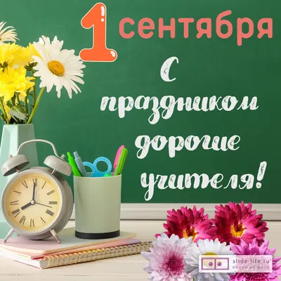 Необычные картинки и открытки для  | Canva