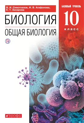 1967-й год: 10-Б класс средней школы № 1, город Жлобин, Гомельская область,  Белоруссия