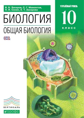 Новый учебник по физике 10 класс Д.М. Казахбаева, Б.А. Кронгарт,: 4 500 тг.  - Книги / журналы Астана на Olx