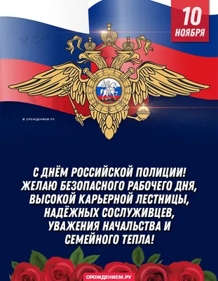 День полиции 10 ноября: прикольные и необычные картинки к празднику - МК  Новосибирск