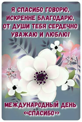 11 января всемирный День "Спасибо" - стихи, суть праздника | Праздник,  Открытки, Самодельные открытки