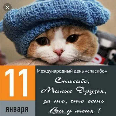 11 января - Международный день "спасибо"