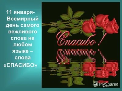 Волшебное слово«Спасибо» 2022, Лискинский район — дата и место проведения,  программа мероприятия.