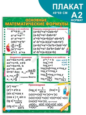 Обществоведение. 11 класс. Рабочая тетрадь Ирина Бернат, Надежда Кушнер,  Елена Полейко : купить в Минске в интернет-магазине — 