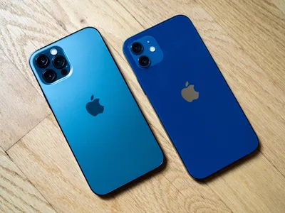 iPhone 12 pro vs iPhone 12: What's the difference and which is better? |  The Independent