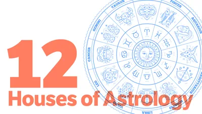 The 12 Chinese Zodiac Signs Explained 2024 | Reader's Digest