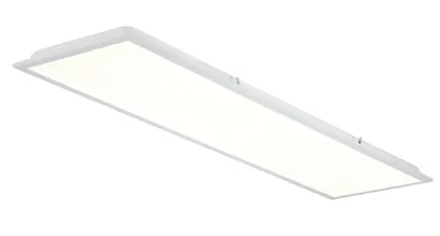 CCT Tunable White and Brightness Dimmable LED Panel Light 1200X300 - China  LED Panel Light, LED Panel Lighting | 