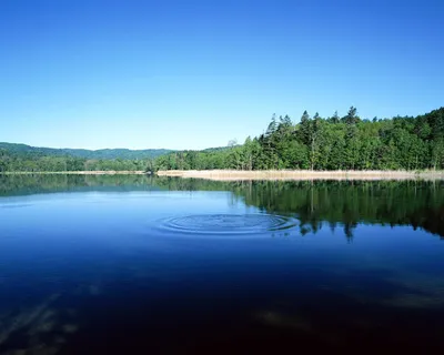 Картинка на рабочий стол природа, река, залив, рыбалка, отдых, красиво,  лодка, лето, лес 1280 x 1024