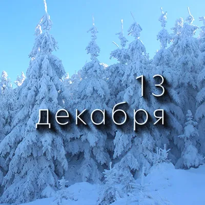 Весело, весело встретим старый Новый год | Газета "Тихоокеанская звезда"