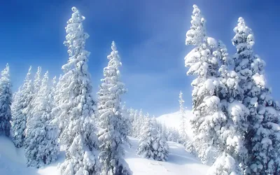 Обои зима на рабочий стол - лучшая подборка