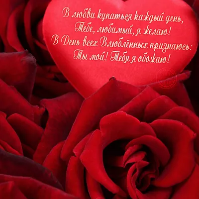 Картинка Розы на 14 февраля » День святого Валентина » Праздники » Картинки  24 - скачать картинки бесплатно
