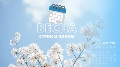 Обои на рабочий стол с весной | Скачать весенние обои бесплатно | Canva