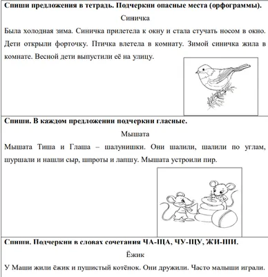 Иллюстрация 1 из 12 для Окружающий мир. 1 класс. Контрольно-измерительные  материалы. ФГОС | Лабиринт - книги.