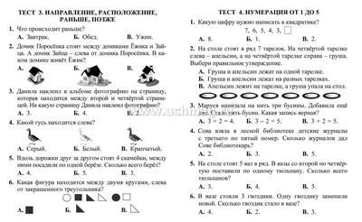 Литературное чтение. 1 класс. Учимся читать и понимать текст |  978-5-9500700-9-9