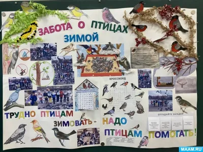 Проект во 2 классе «Забота о птицах зимой» (9 фото). Воспитателям детских  садов, школьным учителям и педагогам - Маам.ру