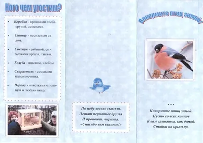 Буклет "Покормите птиц зимой"