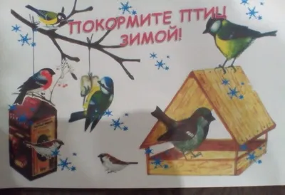Покормите птиц зимой |  | Троицк - БезФормата