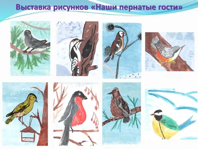 Конспект занятия по рисованию «Покормите птиц зимой» для детей 2–3 лет (10  фото). Воспитателям детских садов, школьным учителям и педагогам - Маам.ру