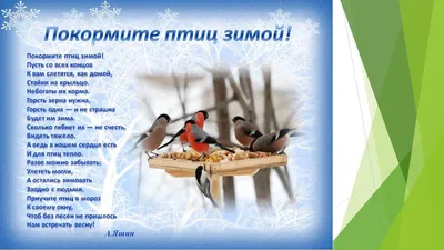 Экологическая акция «Покормите птиц зимой!» | ГБОУ СОШ № 5 г.Сызрани