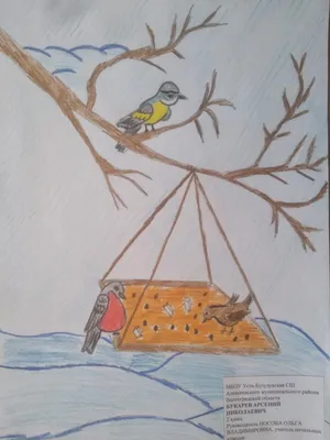 Экологическая акция "Покорми птиц зимой"