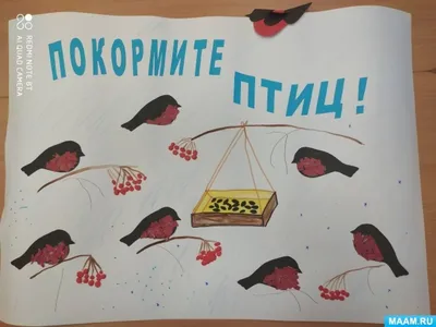 Эко-акция "Покормите птиц зимой", ГБОУ Школа № 1279 "Эврика", Москва