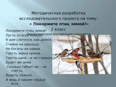 Государственный природный заповедник «Воронинский» | Стартует ежегодная  акция «Покормите птиц зимой» | Facebook