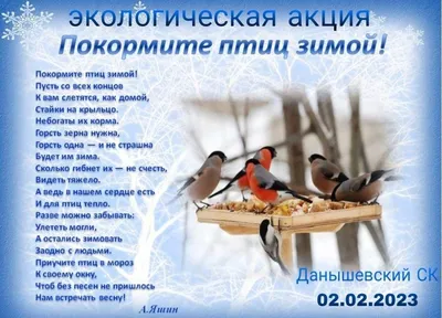 НОД «Подкормим птиц зимой» во 2-й младшей группе