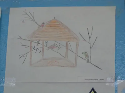 Выставка рисунков в детском саду "Птицы-наши друзья" - МАОУ СОШ №20 г.  Липецка