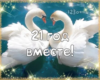 Подарочный диплом "С днем опаловой свадьбы. 21 год свадьбы" — купить в  интернет-магазине по низкой цене на Яндекс Маркете