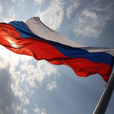 22 августа Россия отмечает День государственного флага | Администрация  Калининского района города Чебоксары